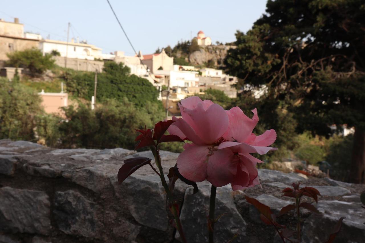 Вилла Petasos House - Garden - Sea View Sellia  Экстерьер фото