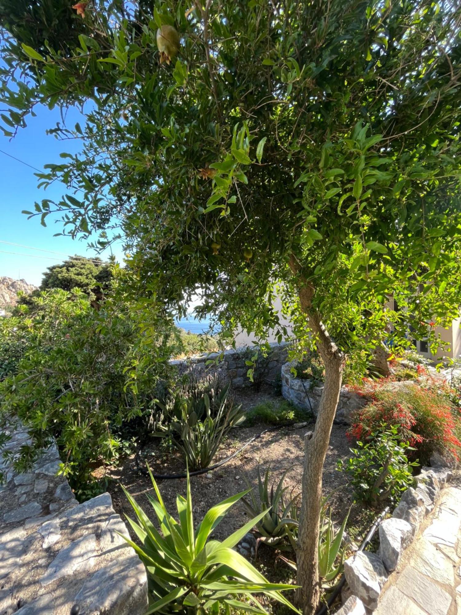 Вилла Petasos House - Garden - Sea View Sellia  Экстерьер фото