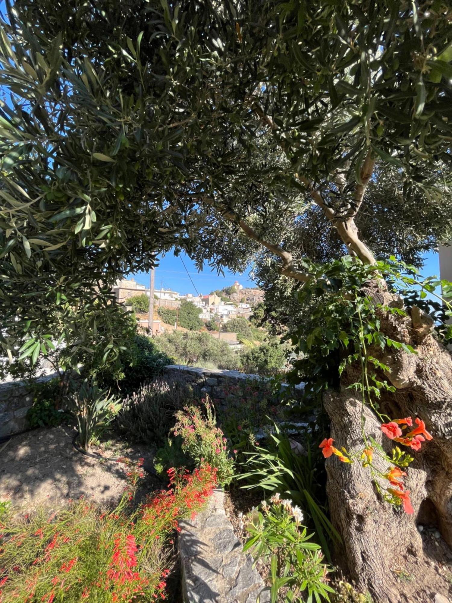 Вилла Petasos House - Garden - Sea View Sellia  Экстерьер фото