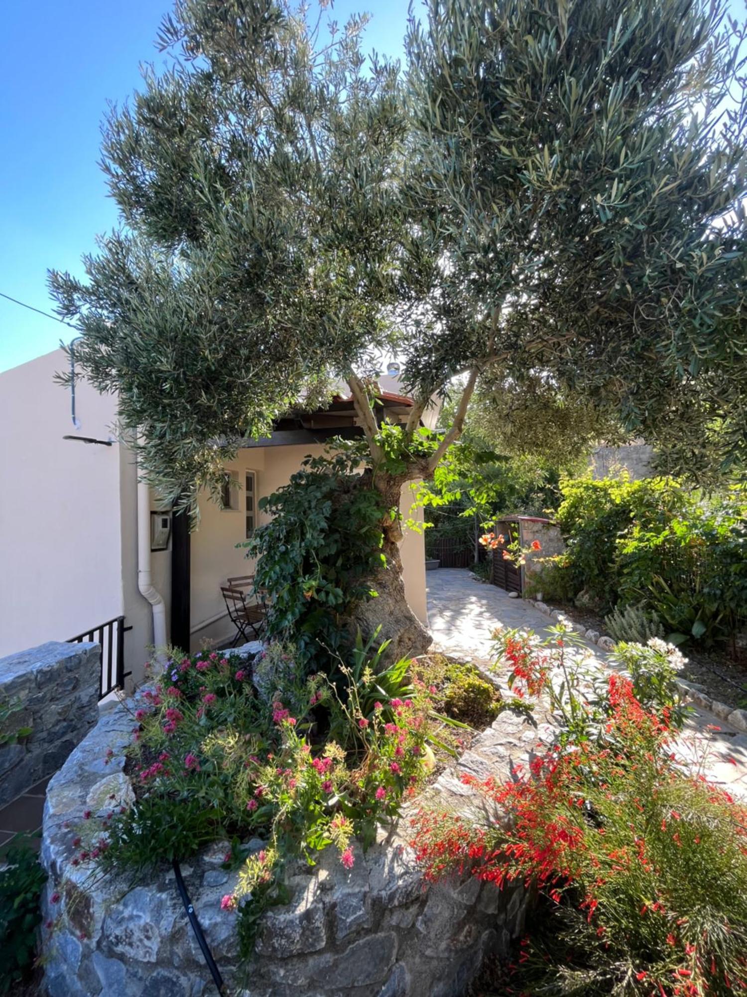 Вилла Petasos House - Garden - Sea View Sellia  Экстерьер фото
